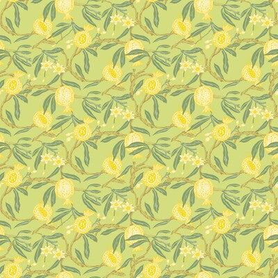 GASTON Y DANIELA GDW5439.004.0 GRANADAS AMARILLO Wallpaper - Eade's Wallpaper