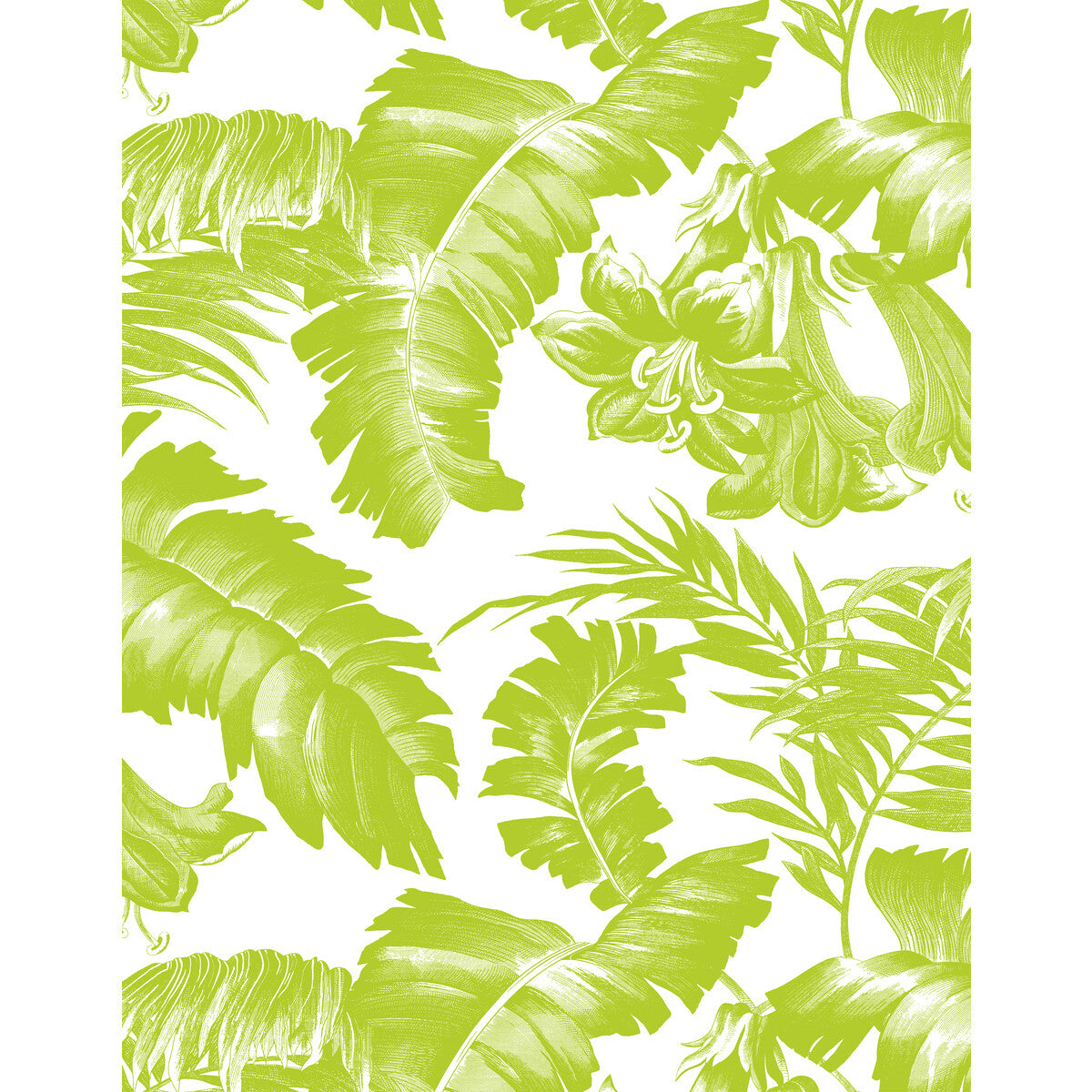 GASTON Y DANIELA GDW5449.002.0 PLANTATION VERDE Wallpaper - Eade's Wallpaper