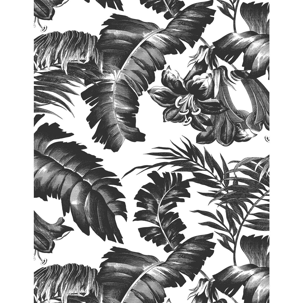 GASTON Y DANIELA GDW5449.005.0 PLANTATION BLACK&WHITE Wallpaper - Eade's Wallpaper