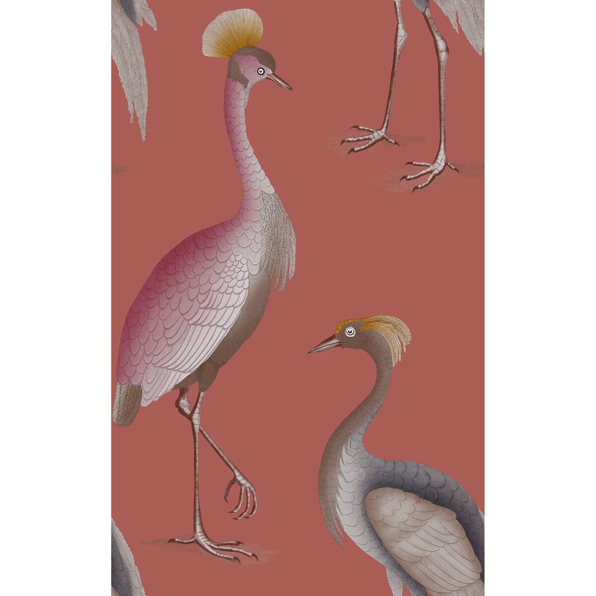 GASTON Y DANIELA GDW5773.008.0 GARZAS FRAMBUESA Wallpaper - Eade's Wallpaper