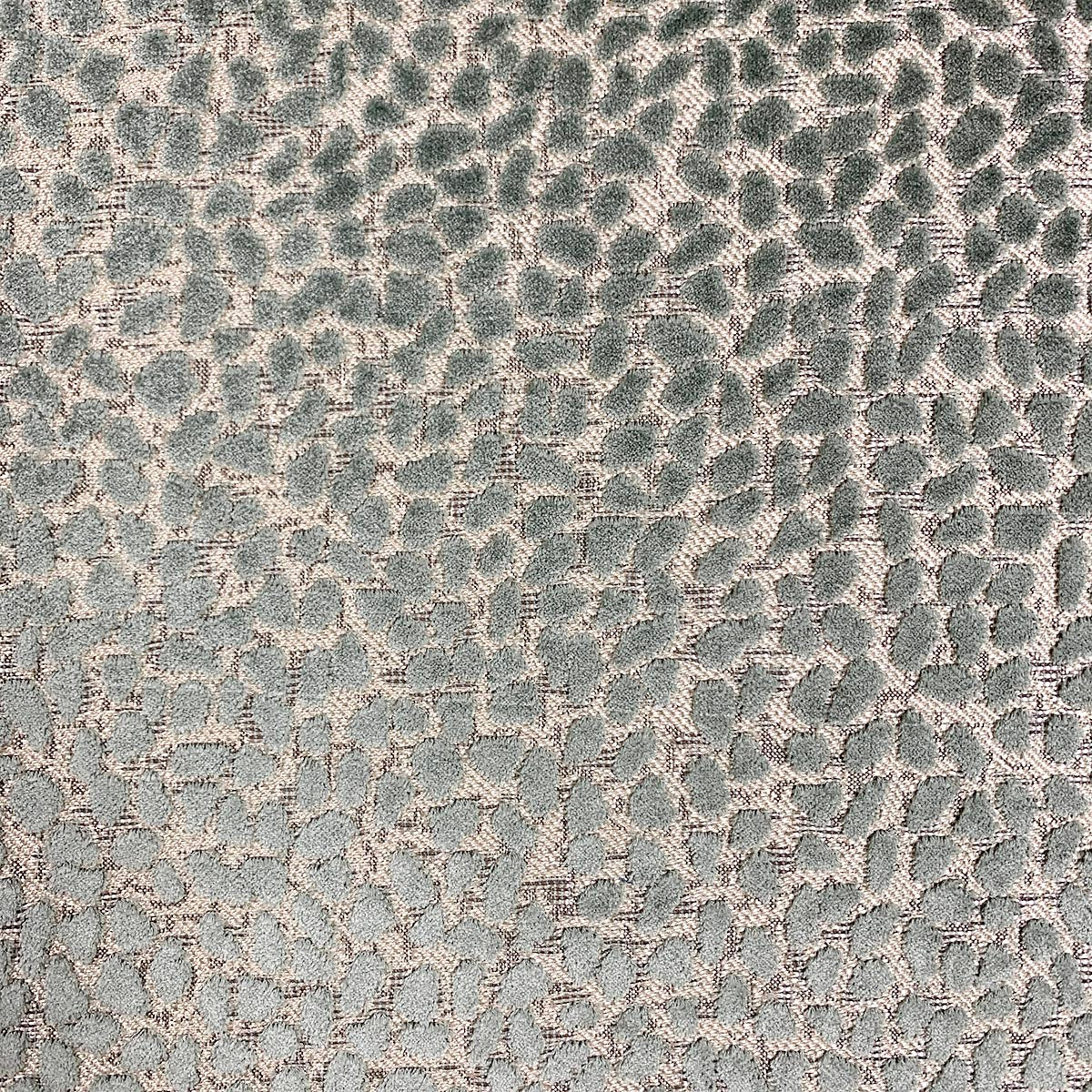 Eade’s GEMS HAZY HAZY