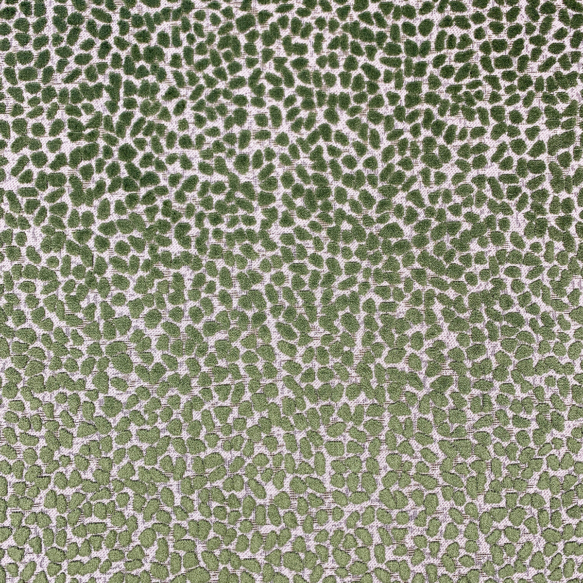 Eade’s GEMS SHAMROCK SHAMROCK