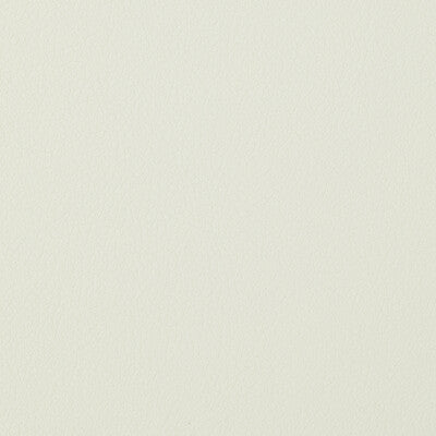 KRAVET DESIGN GENSLAR.101.0 KRAVET DESIGN GENSLAR-101 Fabric - Eade's Wallpaper