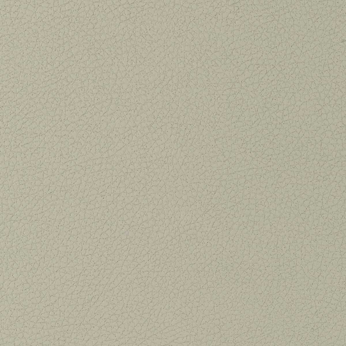 KRAVET DESIGN GENSLAR.11.0 KRAVET DESIGN GENSLAR-11 Fabric - Eade's Wallpaper