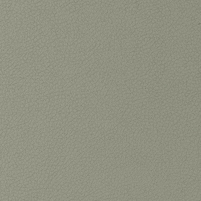 KRAVET DESIGN GENSLAR.1121.0 KRAVET DESIGN GENSLAR-1121 Fabric - Eade's Wallpaper