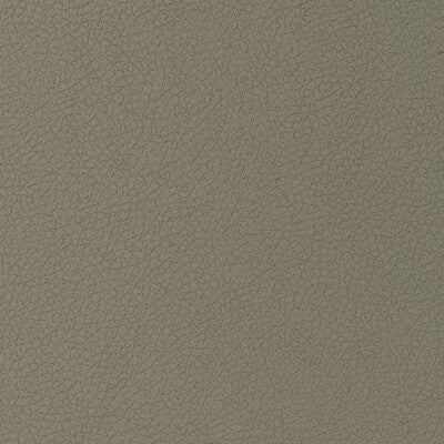 KRAVET DESIGN GENSLAR.1616.0 KRAVET DESIGN GENSLAR-1616 Fabric - Eade's Wallpaper
