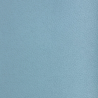 KRAVET DESIGN KRAVET DESIGN GENSLAR.513.0 in GENSLAR-513 Fab