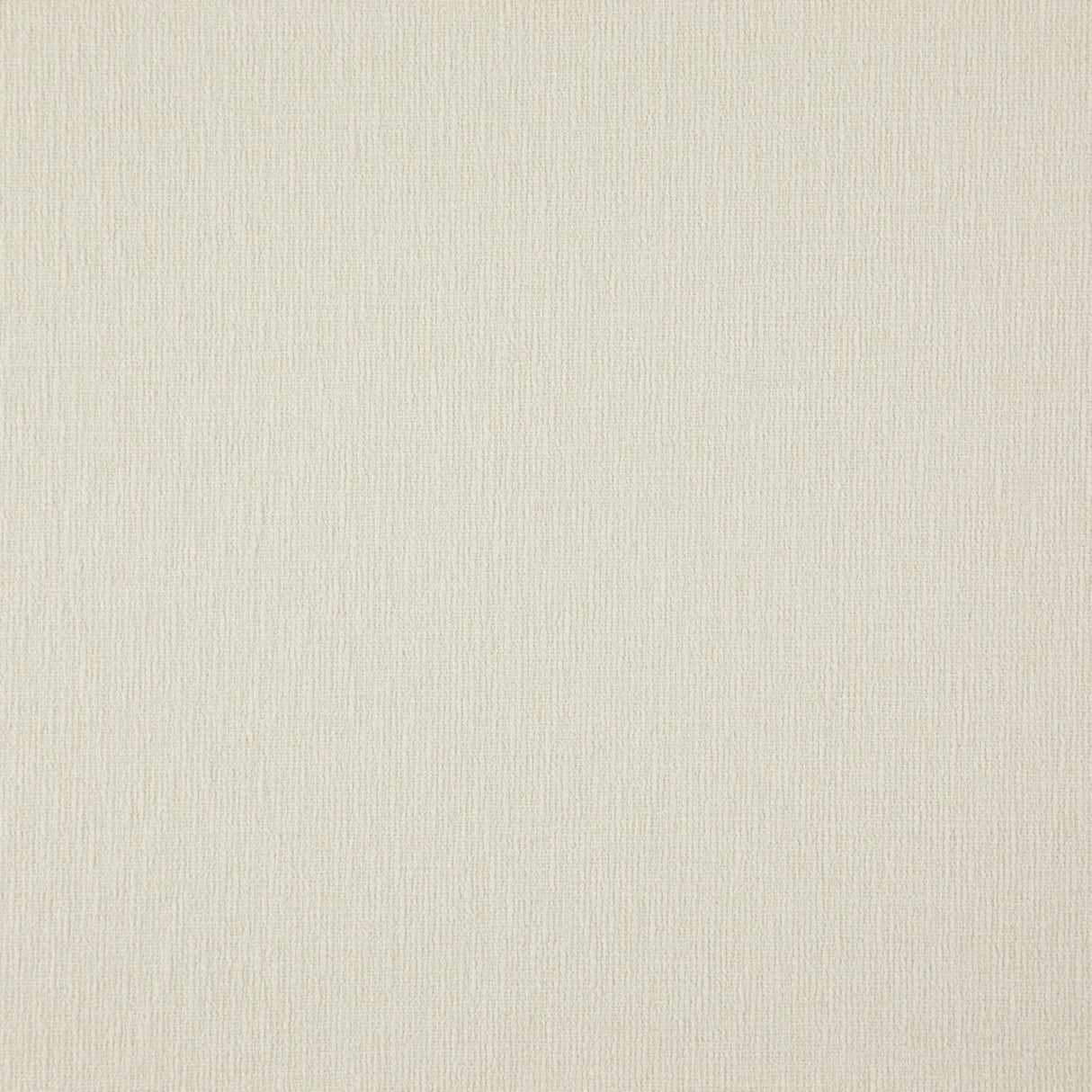 Eade’s # 24 CHAMPAGNE