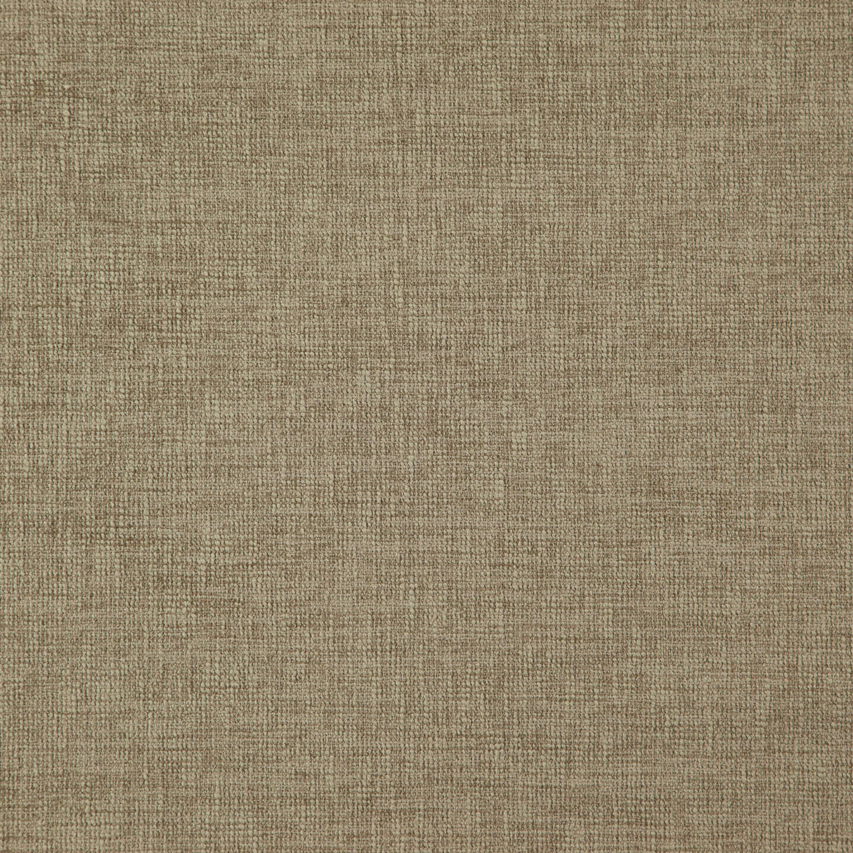 Eade’s # 30 STUCCO