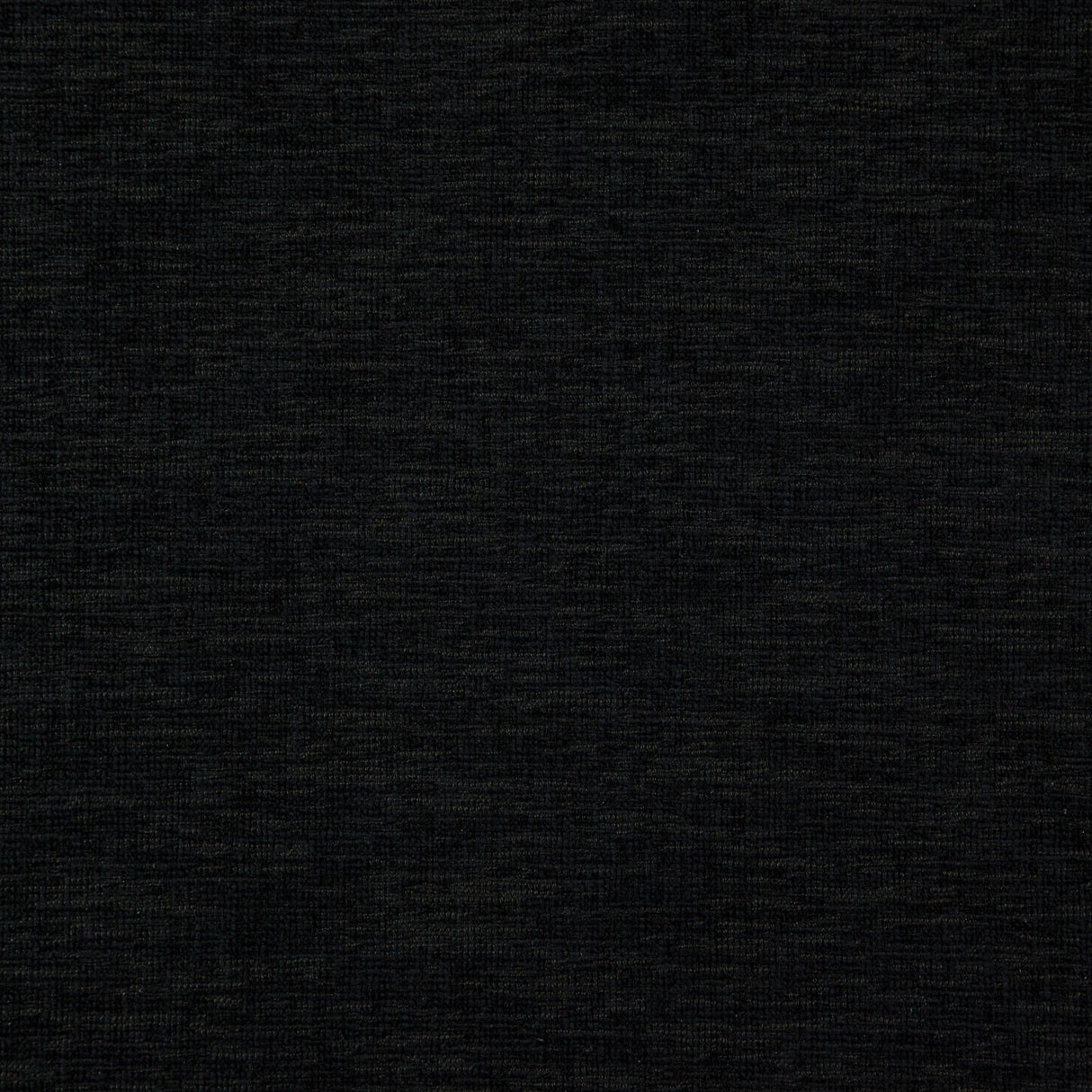 Eade’s # 33 BELUGA