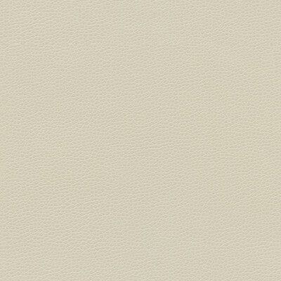 KRAVET DESIGN GILLIAN.1116.0 KRAVET DESIGN GILLIAN-1116 Fabric - Eade's Wallpaper