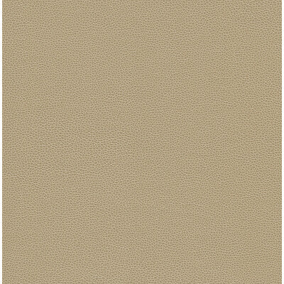 KRAVET DESIGN GILLIAN.116.0 KRAVET DESIGN GILLIAN-116 Fabric - Eade's Wallpaper