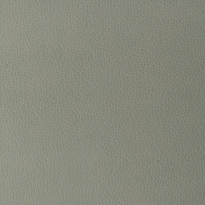 KRAVET DESIGN GILLIAN.11.0 KRAVET DESIGN GILLIAN-11 Fabric - Eade's Wallpaper