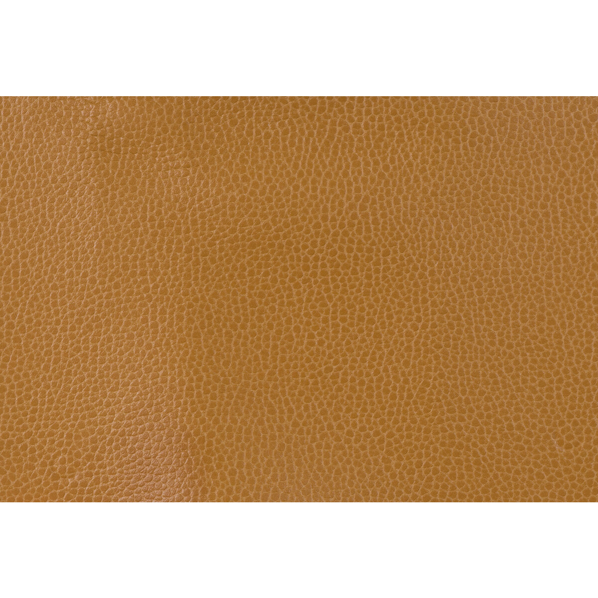 KRAVET DESIGN GILLIAN.124.0 KRAVET DESIGN GILLIAN-124 Fabric - Eade's Wallpaper