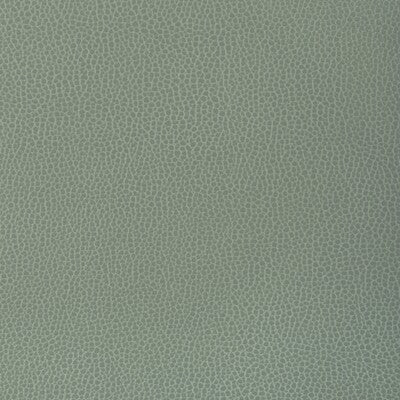 KRAVET DESIGN KRAVET DESIGN GILLIAN.1313.0 in GILLIAN-1313 F
