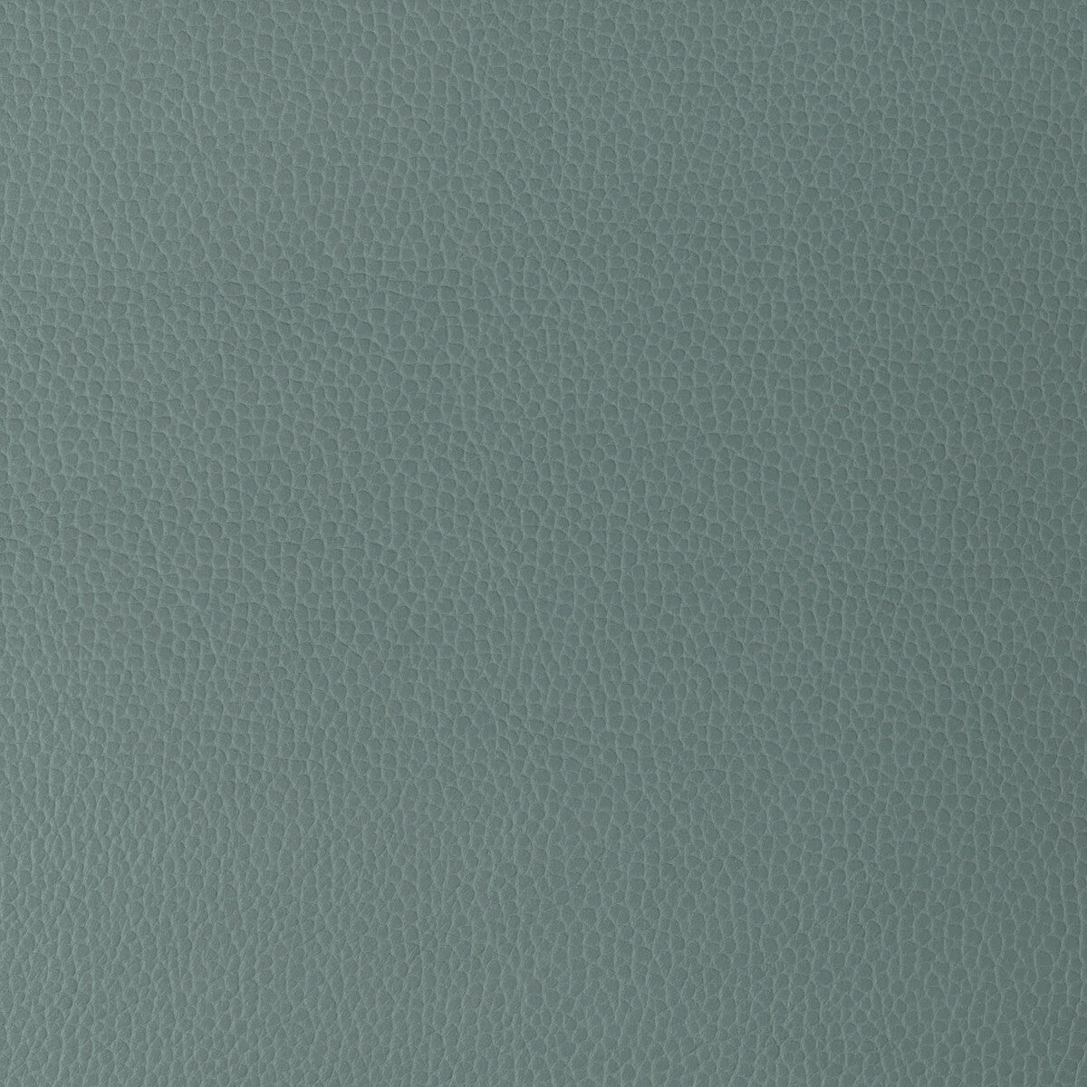 KRAVET DESIGN GILLIAN.15.0 KRAVET DESIGN GILLIAN-15 Fabric - Eade's Wallpaper