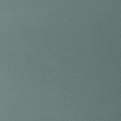 KRAVET DESIGN GILLIAN.15.0 KRAVET DESIGN GILLIAN-15 Fabric - Eade's Wallpaper