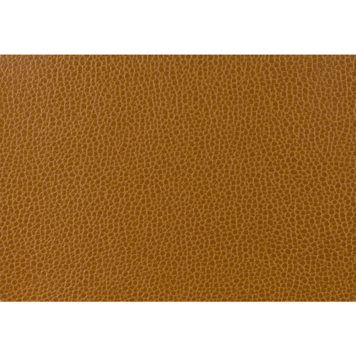 KRAVET DESIGN GILLIAN.24.0 KRAVET DESIGN GILLIAN-24 Fabric - Eade's Wallpaper