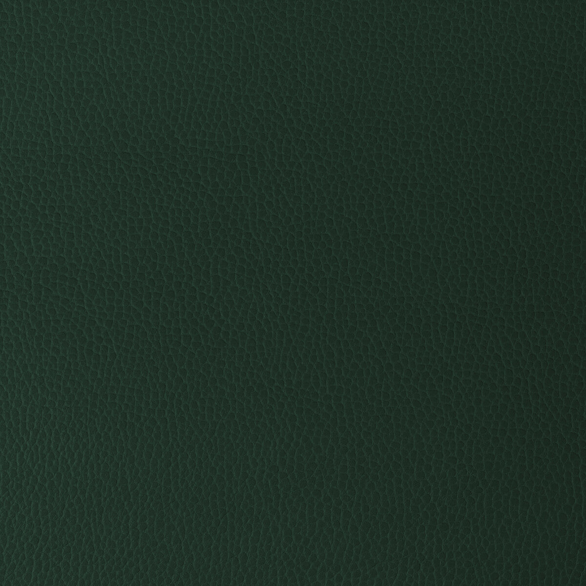 KRAVET DESIGN GILLIAN.30.0 KRAVET DESIGN GILLIAN-30 Fabric - Eade's Wallpaper