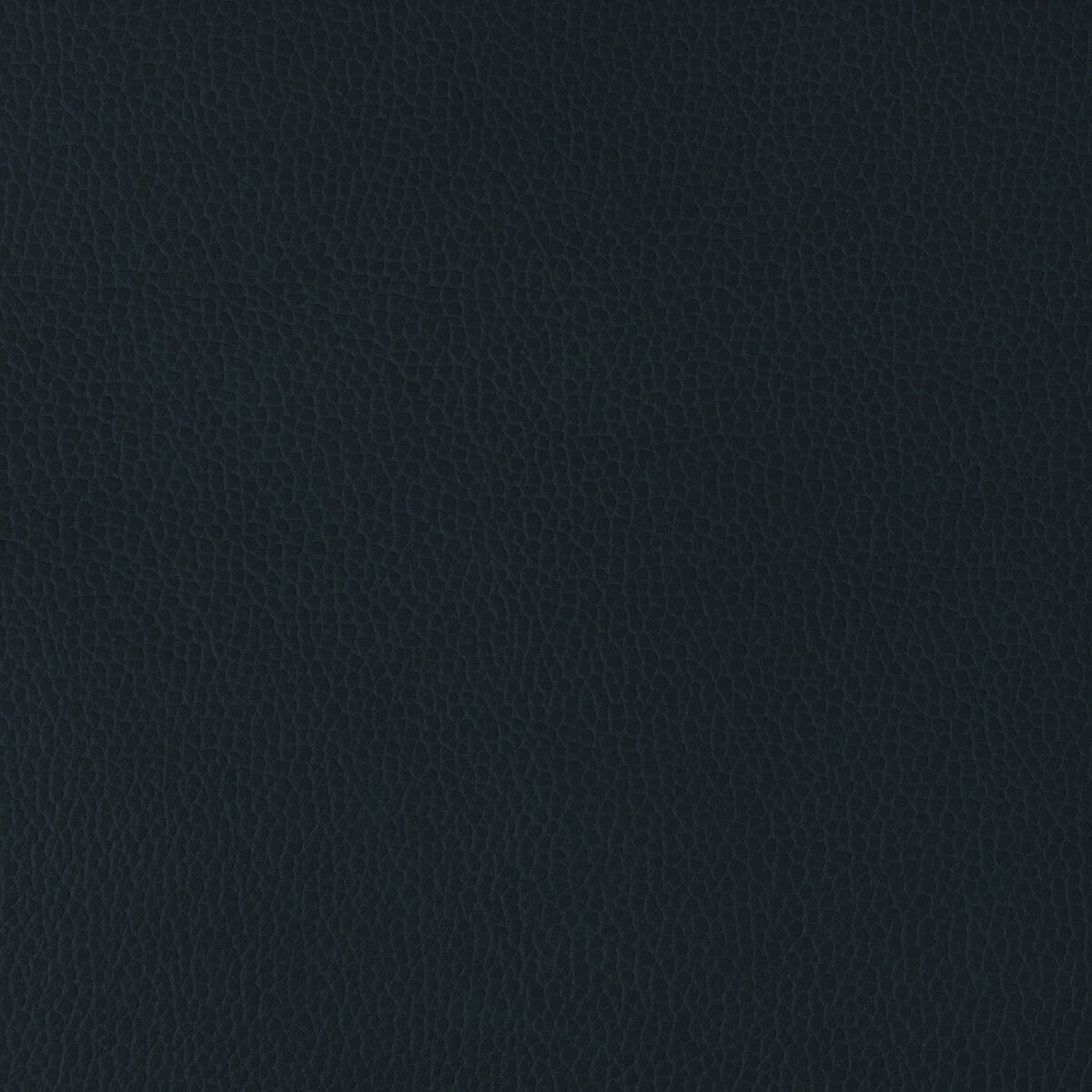 KRAVET DESIGN GILLIAN.50.0 KRAVET DESIGN GILLIAN-50 Fabric - Eade's Wallpaper