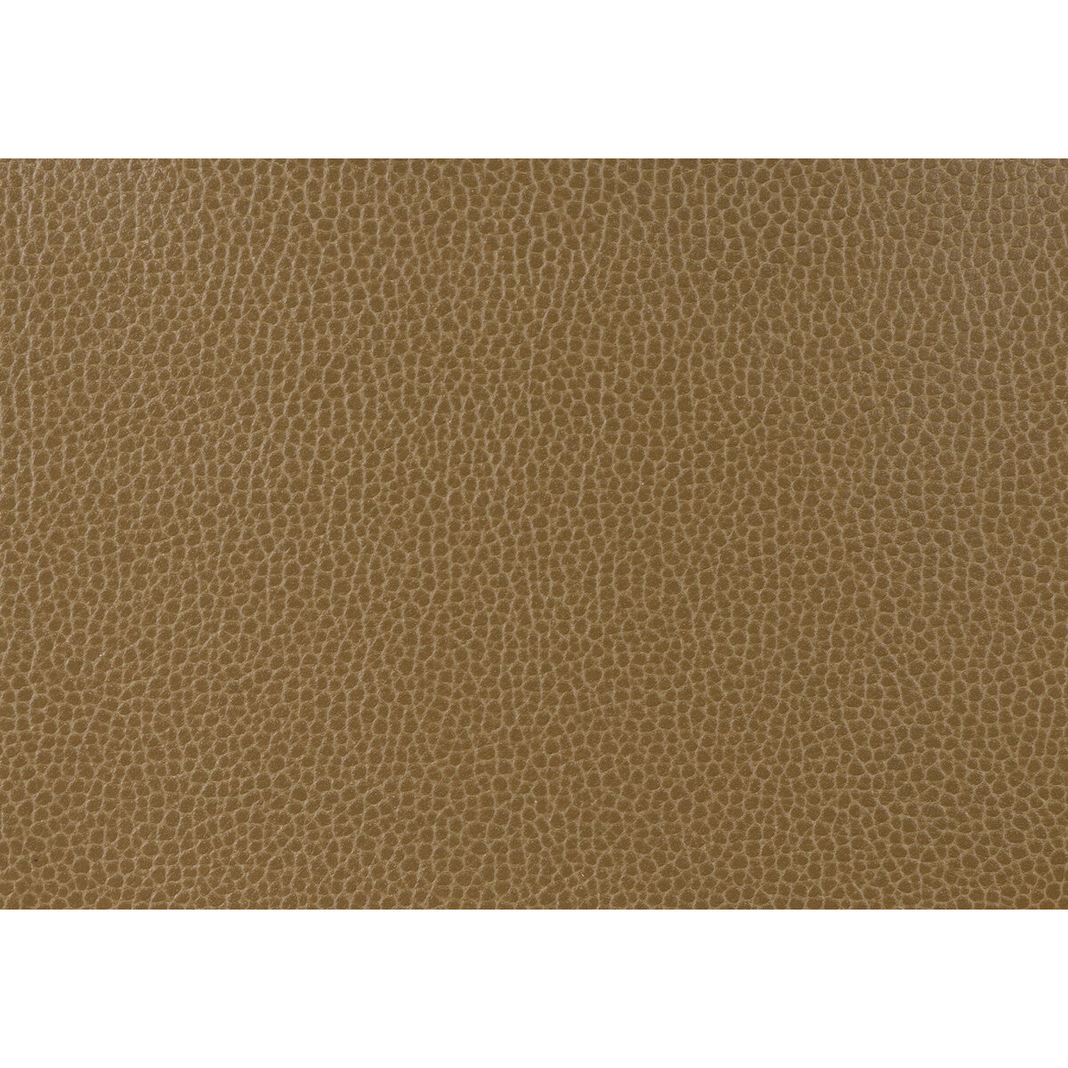 KRAVET DESIGN GILLIAN.6.0 KRAVET DESIGN GILLIAN-6 Fabric - Eade's Wallpaper