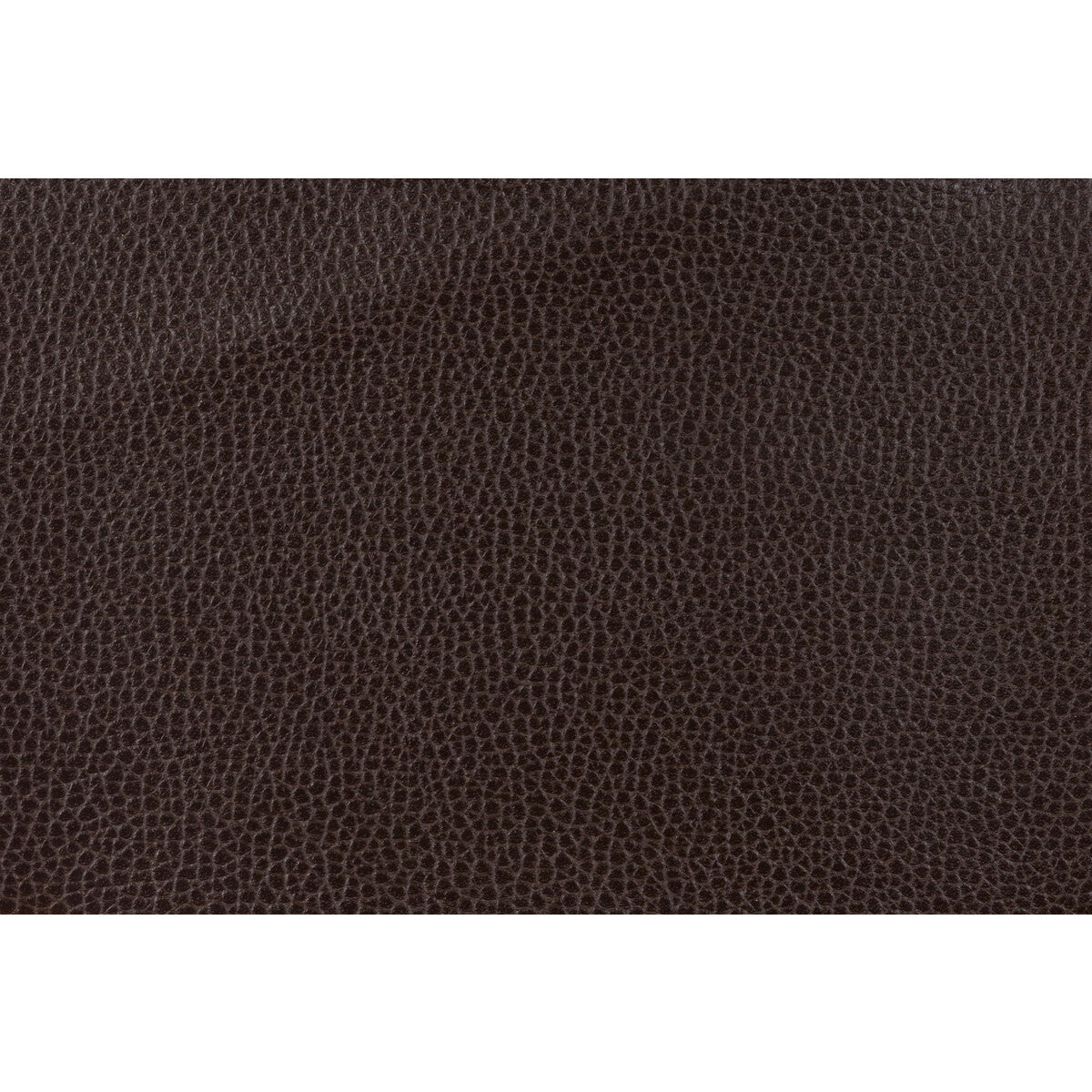 KRAVET DESIGN GILLIAN.66.0 KRAVET DESIGN GILLIAN-66 Fabric - Eade's Wallpaper