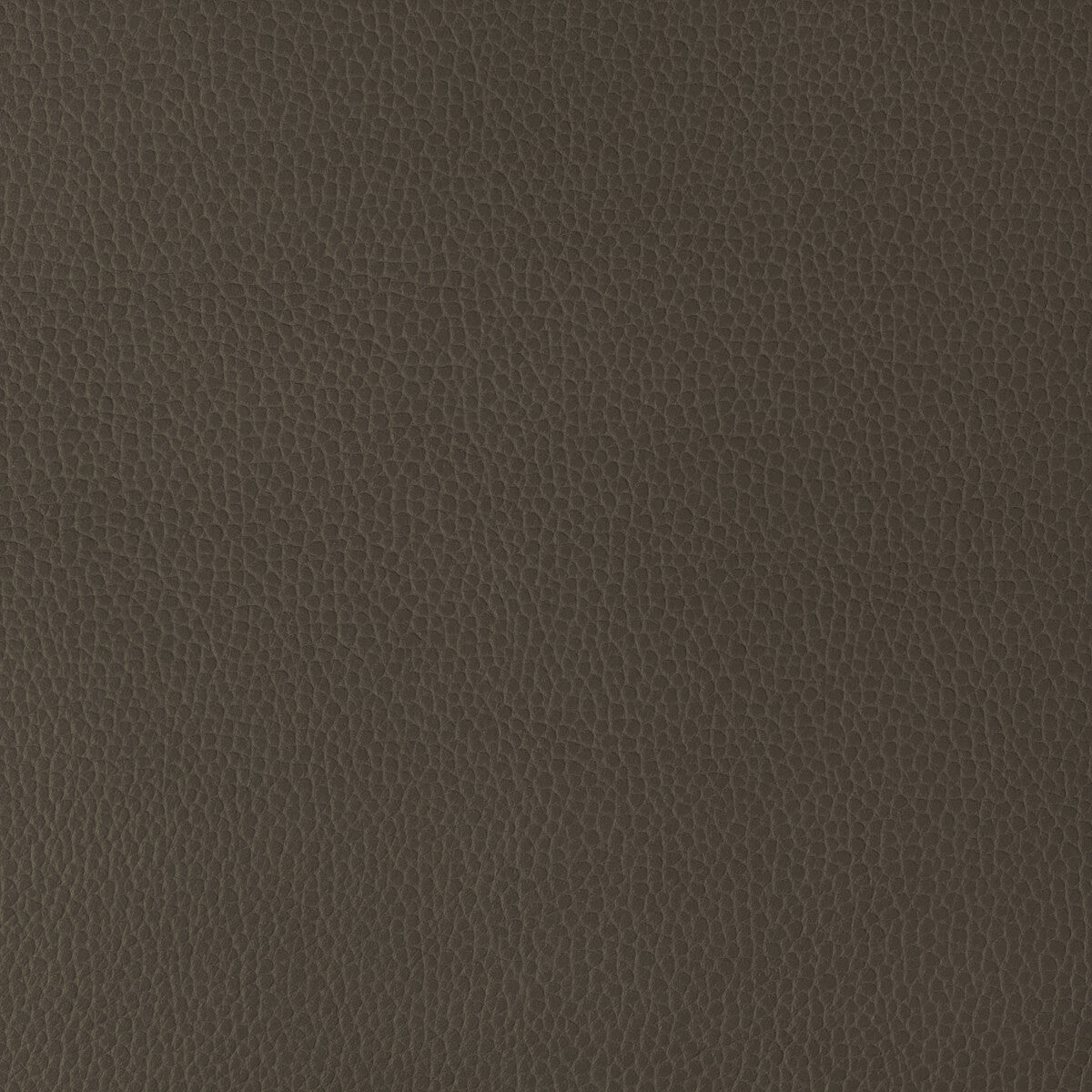 KRAVET DESIGN GILLIAN.6666.0 KRAVET DESIGN GILLIAN-6666 Fabric - Eade's Wallpaper