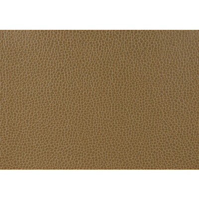 KRAVET DESIGN GILLIAN.6.0 KRAVET DESIGN GILLIAN-6 Fabric - Eade's Wallpaper