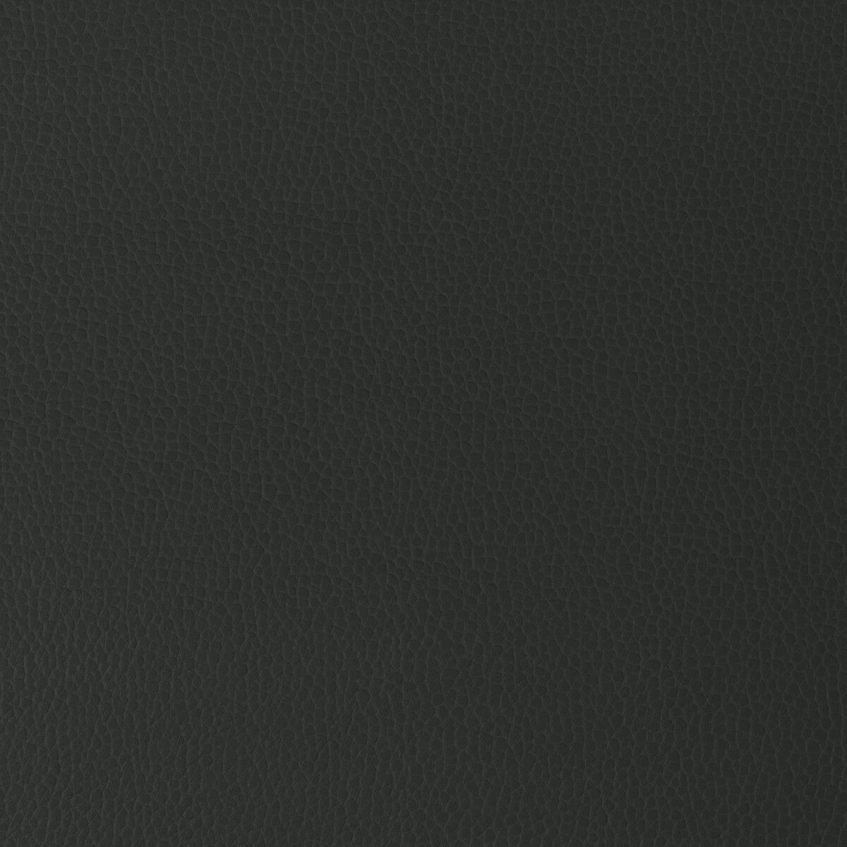 KRAVET DESIGN GILLIAN.86.0 KRAVET DESIGN GILLIAN-86 Fabric - Eade's Wallpaper