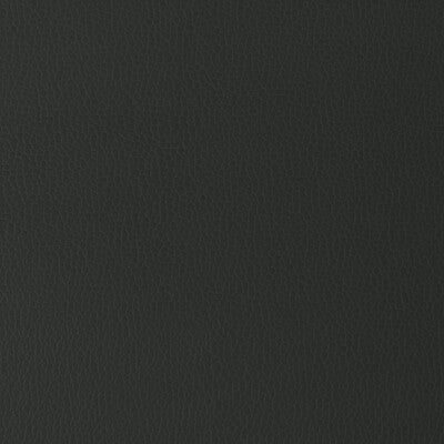 KRAVET DESIGN GILLIAN.86.0 KRAVET DESIGN GILLIAN-86 Fabric - Eade's Wallpaper