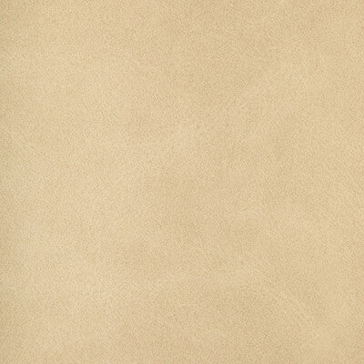 KRAVET DESIGN GIVER.1101.0 KRAVET DESIGN GIVER-1101 Fabric - FAUX LEATHER IV