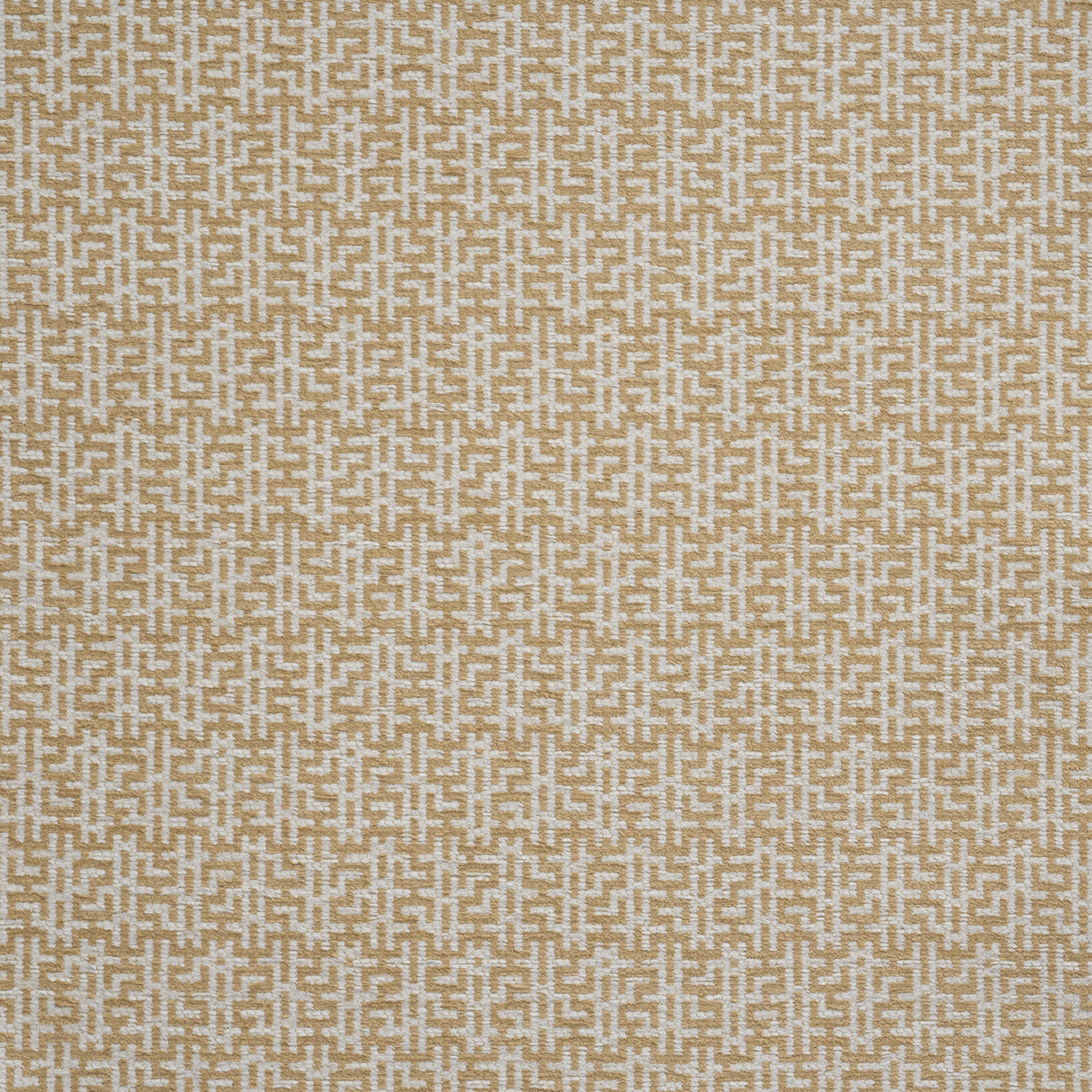 Eade’s # 704 MAIZE