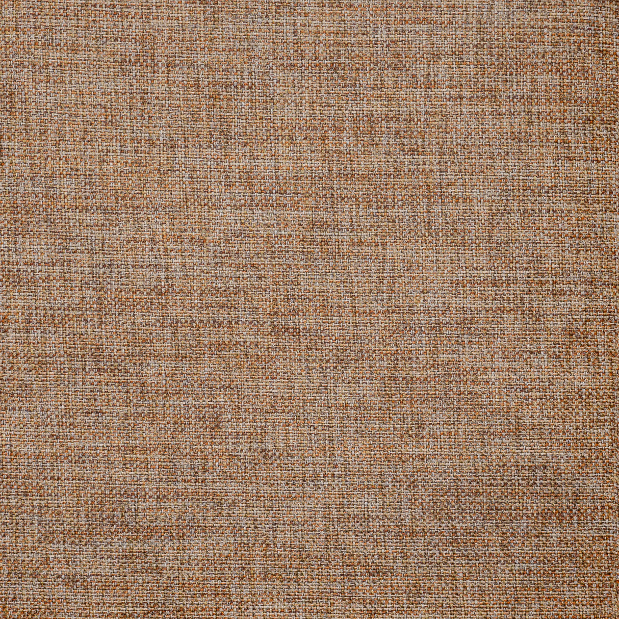 Eade’s # 808 CAYENNE