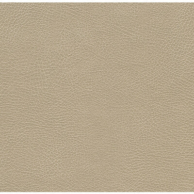 KRAVET DESIGN GLENDALE.1116.0 KRAVET DESIGN GLENDALE-1116 Fabric - Eade's Wallpaper