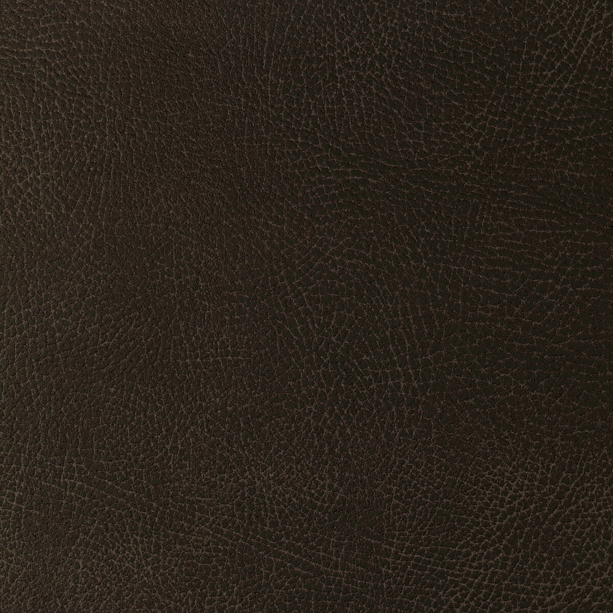 KRAVET DESIGN GLENDALE.1666.0 KRAVET DESIGN GLENDALE-1666 Fabric - Eade's Wallpaper