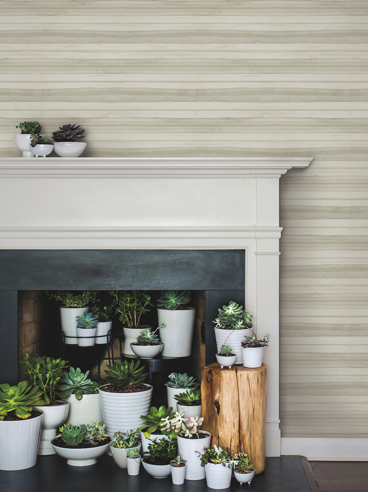 York GO8263 Pandora Leaf Dove Wallpaper