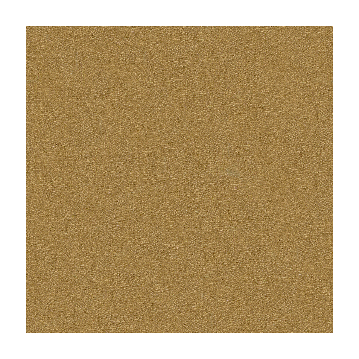 KRAVET DESIGN GRANA.1616.0 KRAVET DESIGN GRANA-1616 Fabric - Eade's Wallpaper