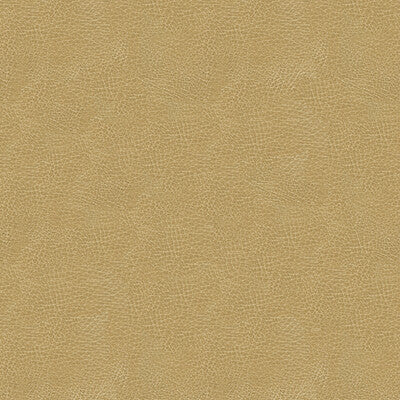 KRAVET DESIGN GRANA.16.0 KRAVET DESIGN GRANA-16 Fabric - Eade's Wallpaper