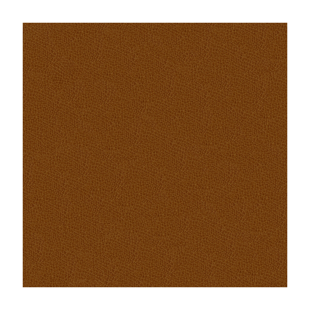 KRAVET DESIGN GRANA.616.0 KRAVET DESIGN GRANA-616 Fabric - Eade's Wallpaper