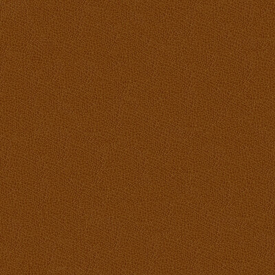 KRAVET DESIGN GRANA.616.0 KRAVET DESIGN GRANA-616 Fabric - Eade's Wallpaper