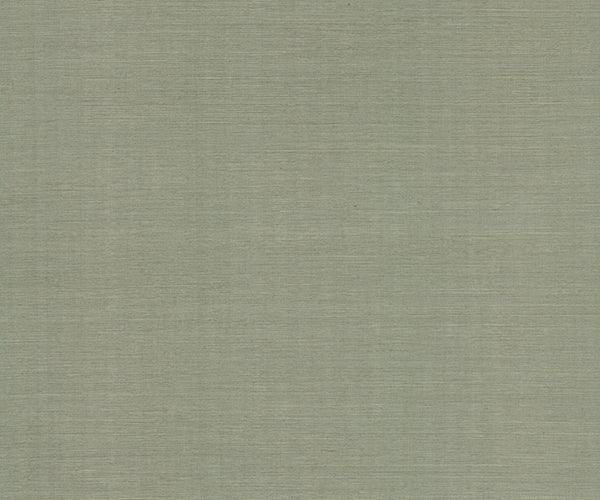 Eade’s Maguey Sisal Desert Sage