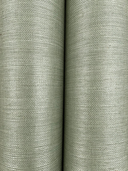 Eade’s Maguey Sisal Desert Sage