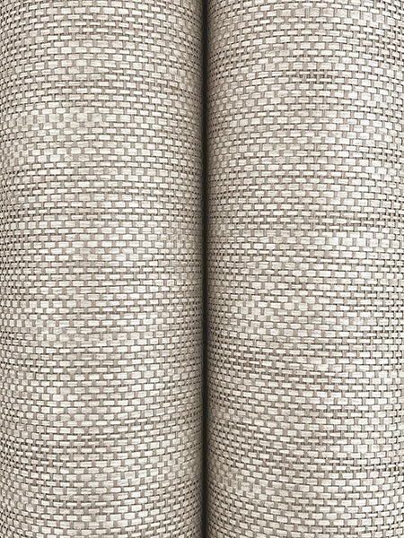 Eade’s Meridian Paperweave Winter Wheat