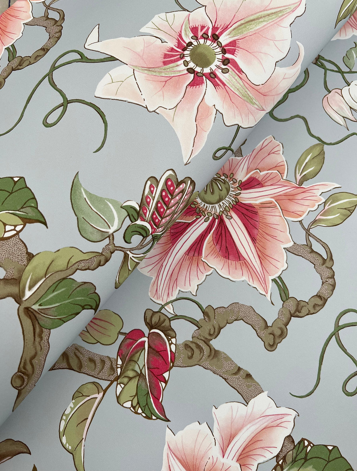 Ronald Redding GT4516 Marguerite Vine Wallpaper - Eade's Wallpaper