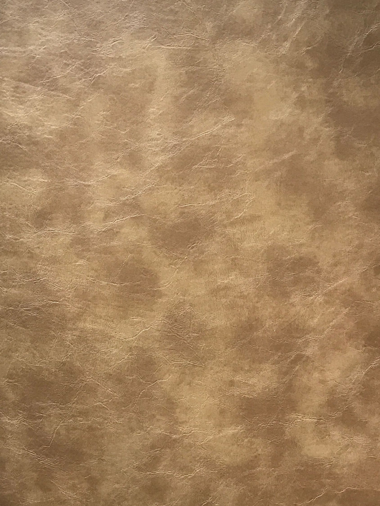 Scalamandre GU 44391069 FAWN ELKHORN Fabric - Eade's Wallpaper