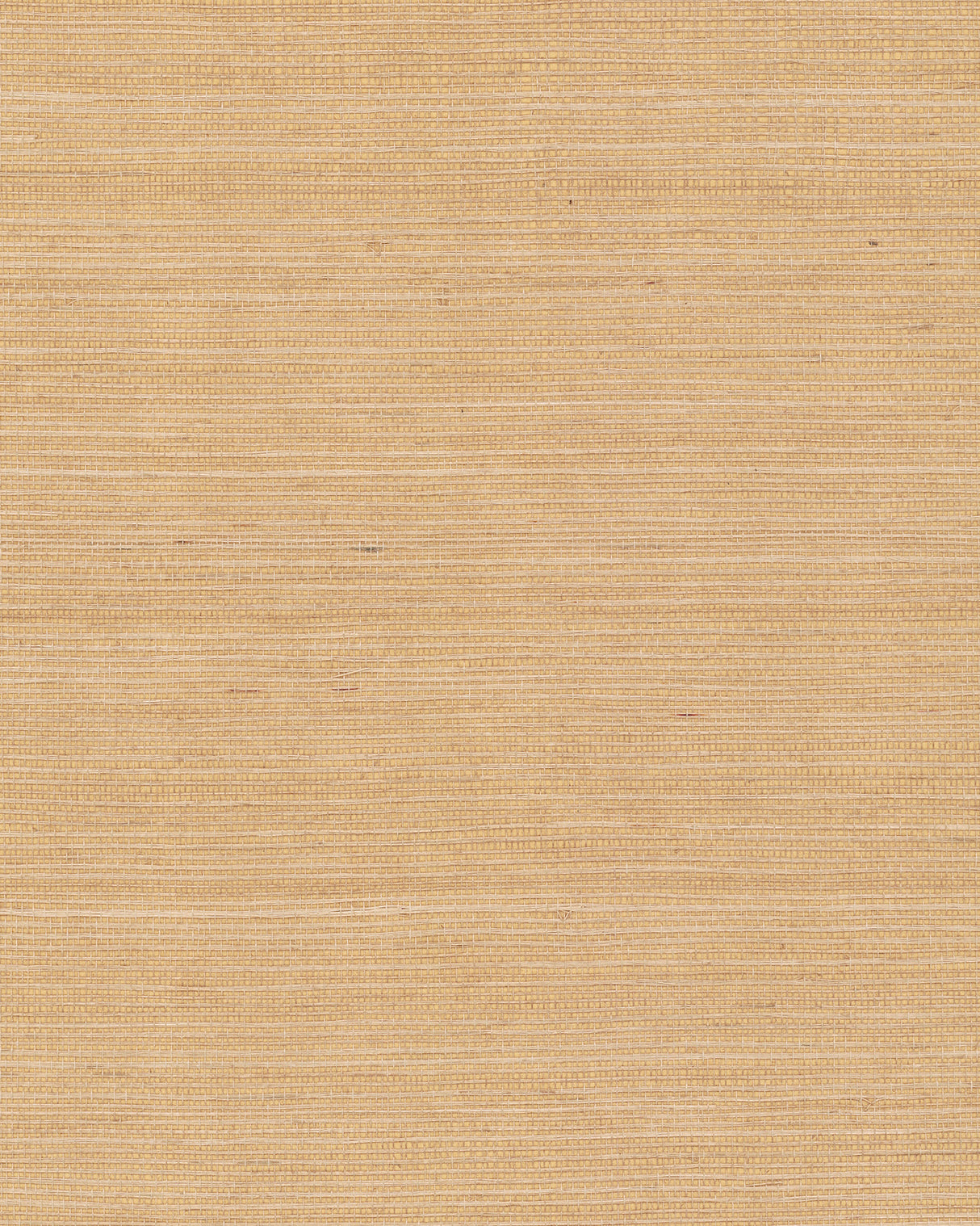 York GV0103NW Maguey Sisal Biscotti Wallpaper