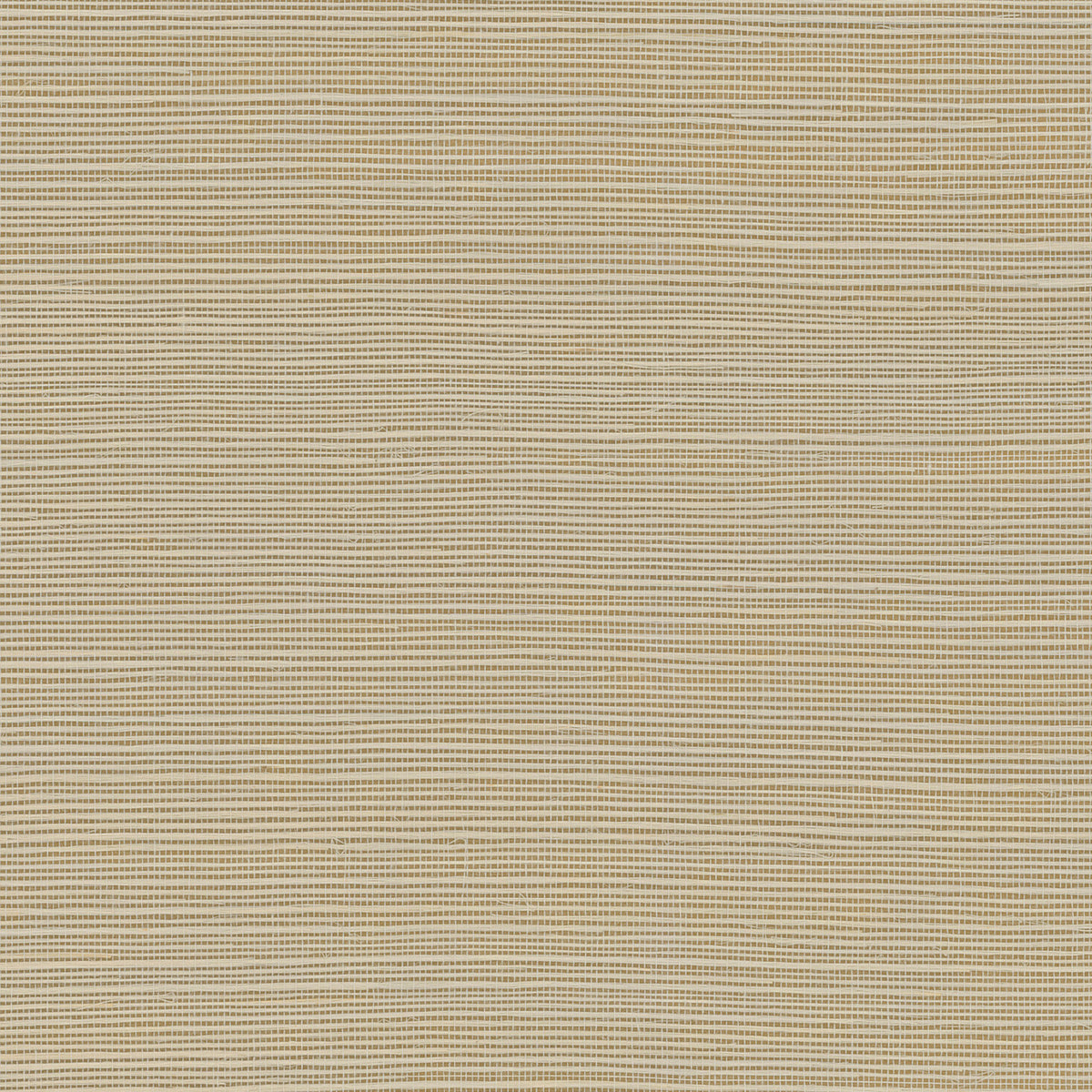 York Wallcoverings GV0105NW Wallpaper - Eade's – Eades Wallpaper & Fabrics