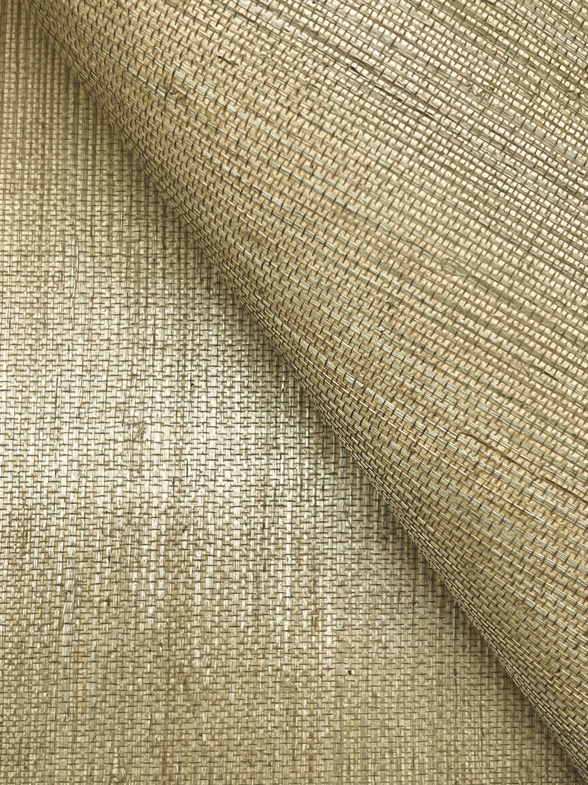 York GV0107NW Maguey Sisal Khaki Wallpaper