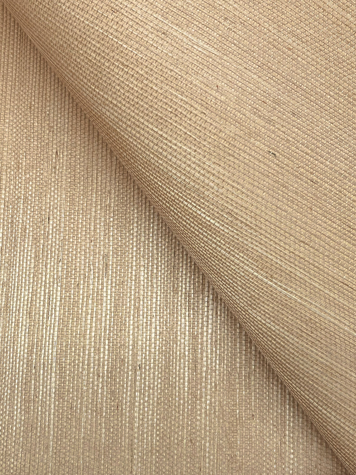 York GV0112NW Maguey Sisal Sand Wallpaper