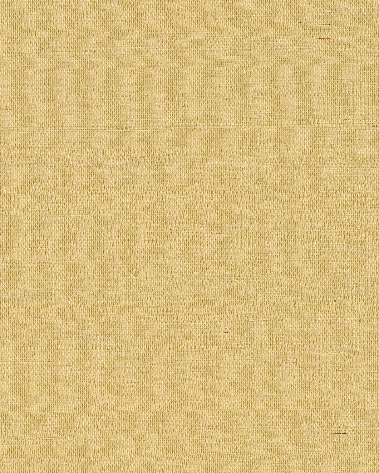 York GV0113NW Maguey Sisal Straw Wallpaper